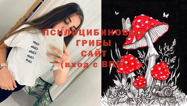 spice Вязьма