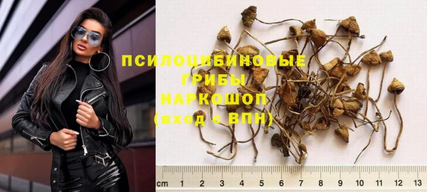 сатива Володарск