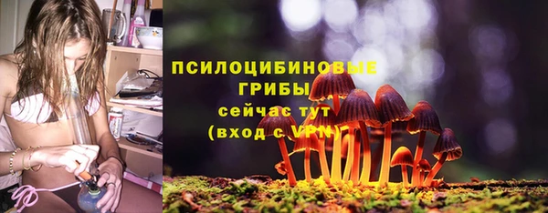 гидра Волоколамск
